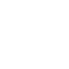 Strategic Partner
